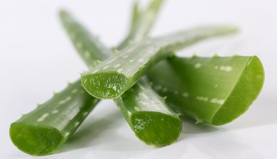 Spülen mit Aloe Vera